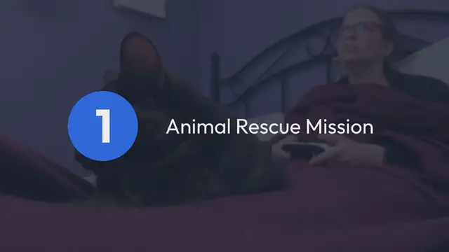 Video thumbnail for Animal Rescue Games
