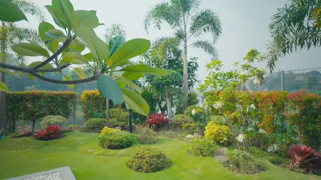 'Video thumbnail for Best Shrubs for Year-Round Color'