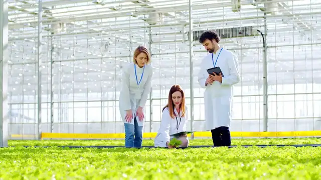 Video thumbnail for Best Fertilizers for Juniper Growth