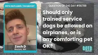 Video thumbnail for Zach supports service cats. Service animals are none of your business!