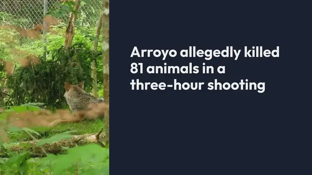 'Video thumbnail for Prunedale_Animal_Shooting_Rampage'