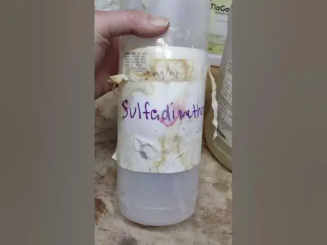 Video thumbnail for How I Treat Coccidiosis In Chickens #Shorts