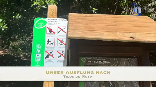 'Video thumbnail for Tilos de Moya - Rundwanderweg auf Gran Canaria'