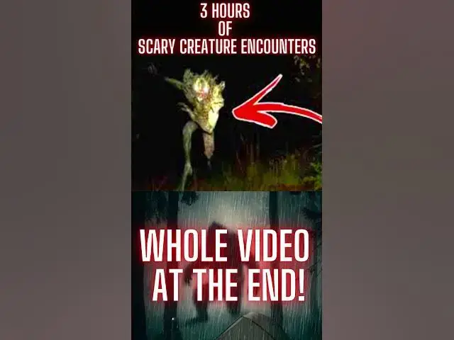 Video thumbnail for 3 Hours of Alien, Bigfoot Ghost Stories #Short #Shorts #Shortvideo #horrorstories #paranormal