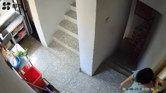 Video thumbnail for Boy Traps Mouse on Staircase with Basin and Dustpan in Zhejiang