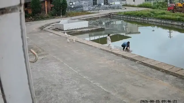 Video thumbnail for Child Falls into Pond While Walking Nearby in Hunan, China