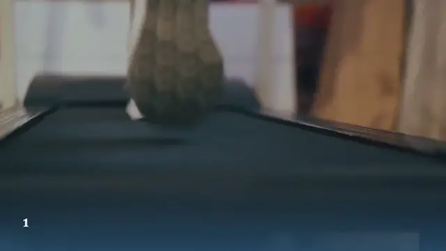 Video thumbnail for Untitled_video (6)