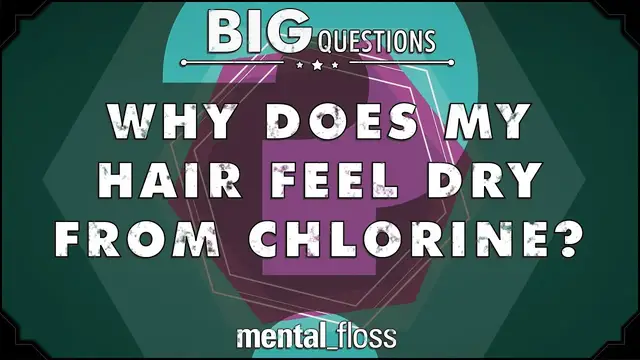 Video thumbnail for Why does my hair feel dry from chlorine? - Big Questions - (Ep. 205) | Mental Floss