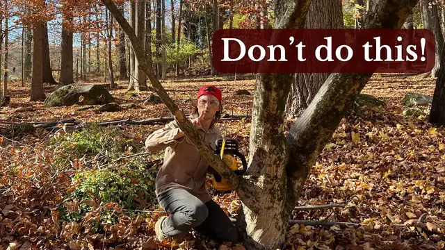 Video thumbnail for Prune Your Tree Limbs & Branches Correctly with this Easy to Follow Tutorial