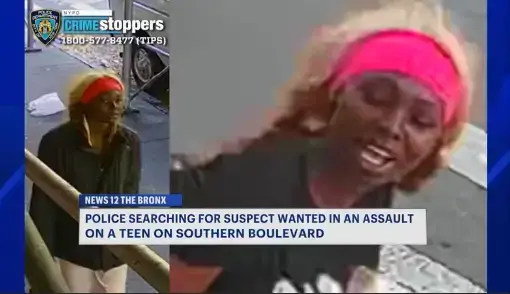 Video thumbnail for Teen girl assaulted in Crotona Park East