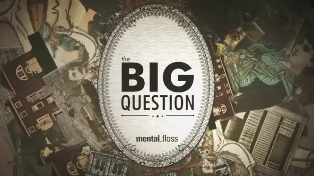'Video thumbnail for Does hitting the snooze button help? - Big Questions - (Ep. 34)'