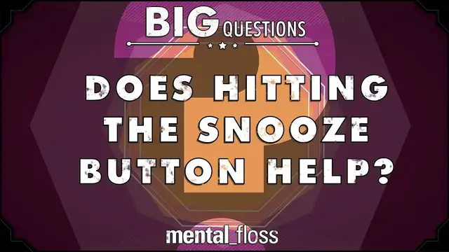 'Video thumbnail for Does hitting the snooze button help? - Big Questions - (Ep. 34)'