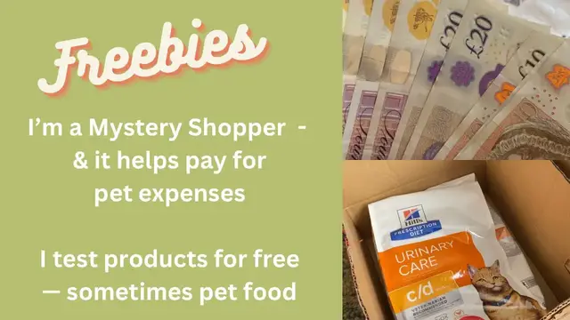 'Video thumbnail for I Earn Cash from Being a Mystery Shopper AND Testing Free Products (including pet care & food)'