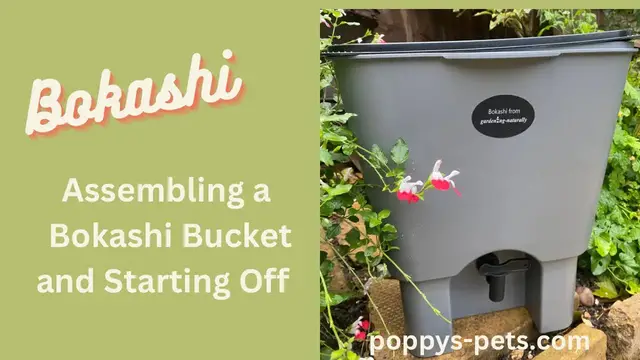 Video thumbnail for Episode 1: Assembling a Bokashi Bucket & My Recommended Bucket Duo for Under £40