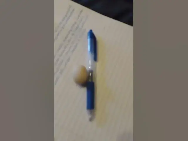 Video thumbnail for Bitty Egg Is It From My Silkie Pullet #Shorts