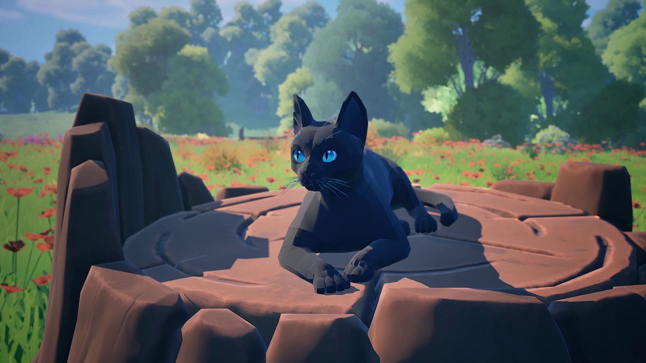 Video thumbnail for Cat a Photo - Official Trailer