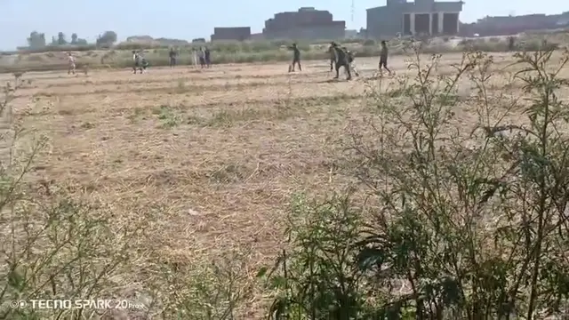 Video thumbnail for Cricket