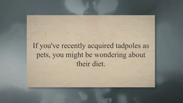 Video thumbnail for Feeding Pet Tadpoles: A Quick Guide