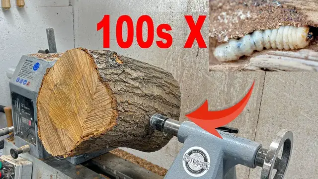Video thumbnail for I wood turned this WOODWORM infested oak log into ART