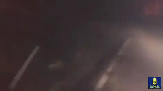 Video thumbnail for Waldbrand im August / September 2019 in Valleseco - Video 6