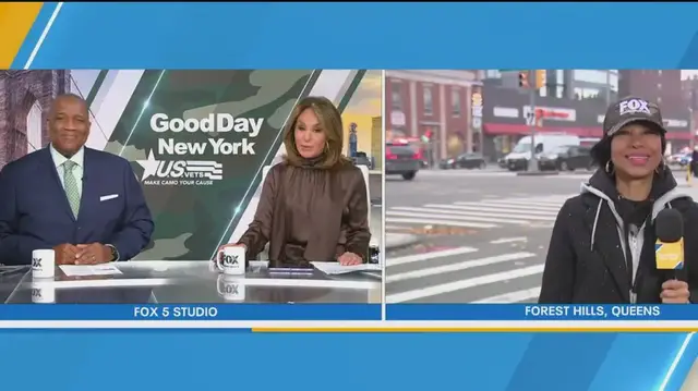 'Video thumbnail for Snow flurries hit NYC'