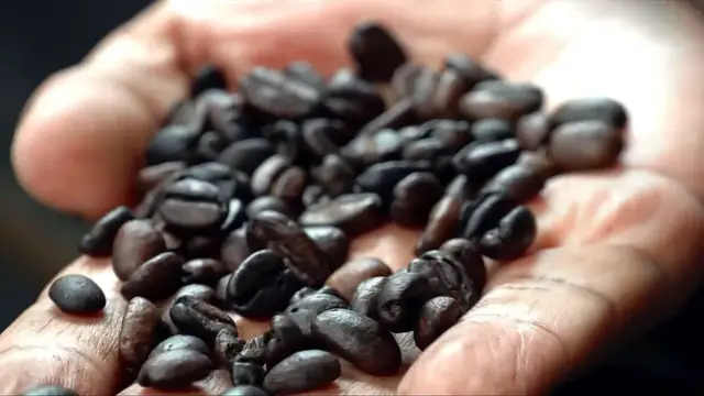 'Video thumbnail for Ethiopian coffee farmers struggle with costly EU origin regulations'