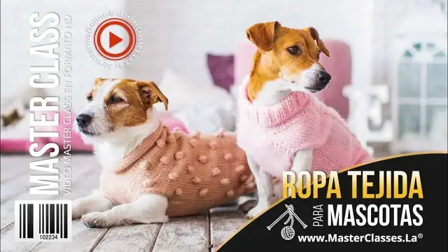 'Video thumbnail for Ropa tejida para mini pincher🐕'