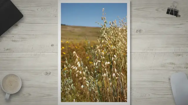 Video thumbnail for Why are Crops Rotated? Unveiling the Secrets of Crop Rotation for Thriving Farms and Healthy Soil