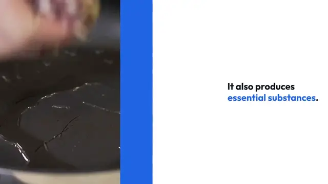 Video thumbnail for Importance of Foods for liver health