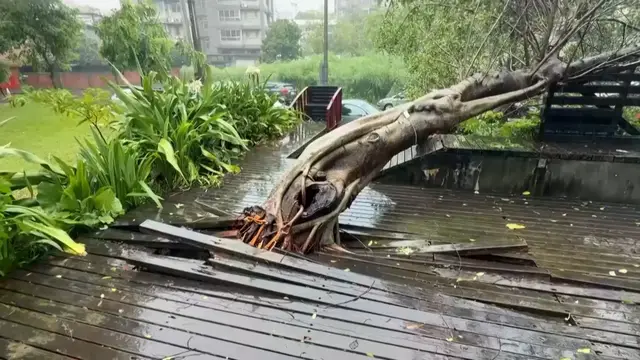 Video thumbnail for China prepares as Typhoon Bavi leaves Taiwan