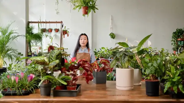 Video thumbnail for Vertical Garden Lighting Solutions