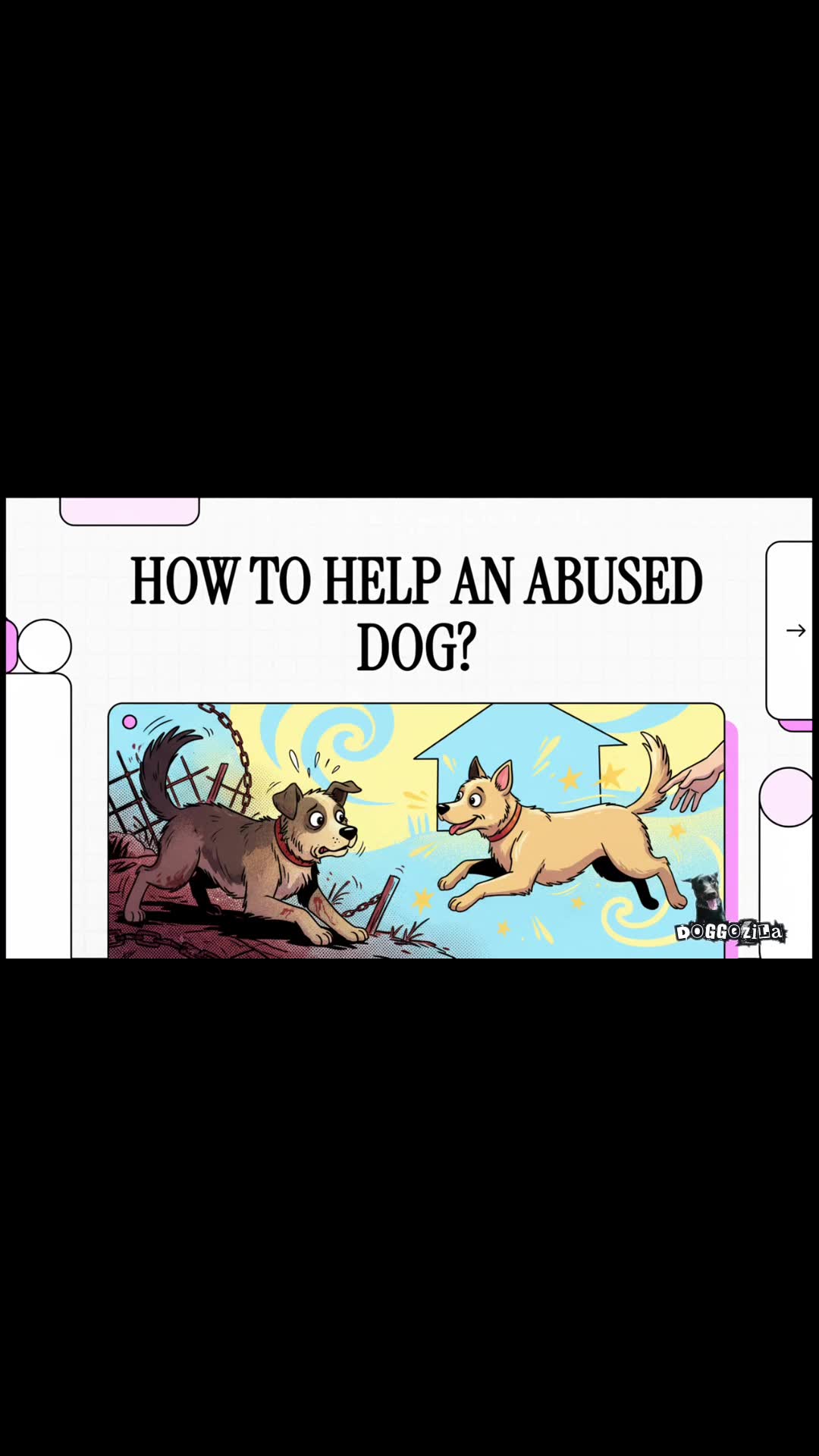 Video thumbnail for How to Help an Abused Dog to Heal and Recover?