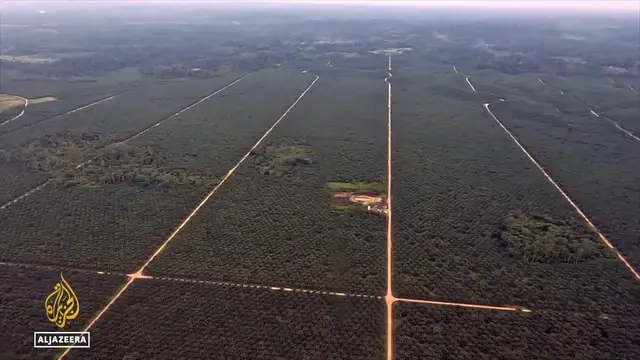 'Video thumbnail for Peru’s Amazon under threat: Industry blamed for massive land loss'