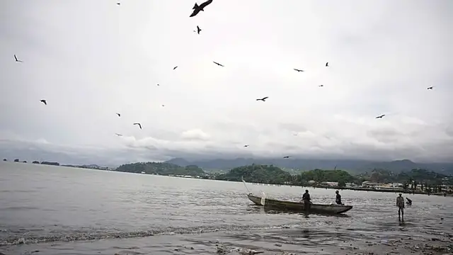 Video thumbnail for Africa urgently needs more fish farms, UN tells ocean conference