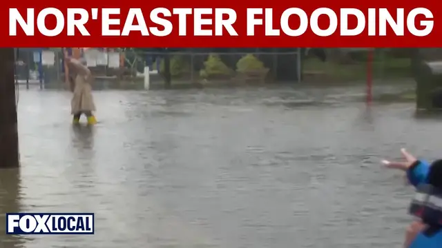 Video thumbnail for High tide flooding swamps Riverside Boulevard in Long Beach