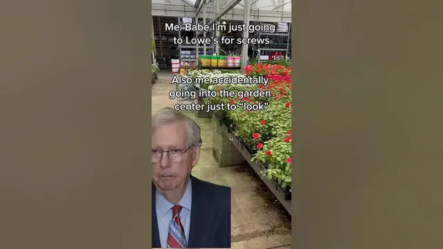 'Video thumbnail for Lowes Clearance Plant shopping #diygardening #gardendesign #garden #backyardgardening #raisedbeds'