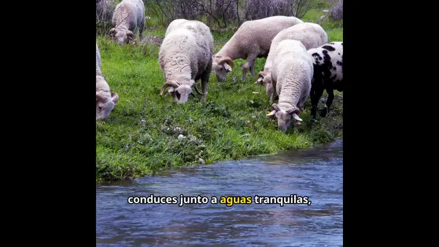 'Video thumbnail for Oración al Buen Pastor'