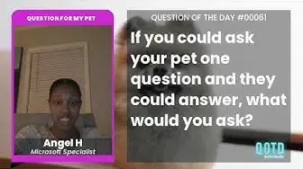 Video thumbnail for Angel would ask her pet if they were an agent, on a secret mission...