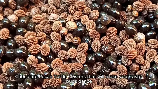 Video thumbnail for CHOCOLATE PECAN TURTLE CLUSTERS