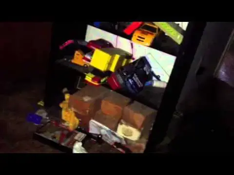 Video thumbnail for One eyed pug