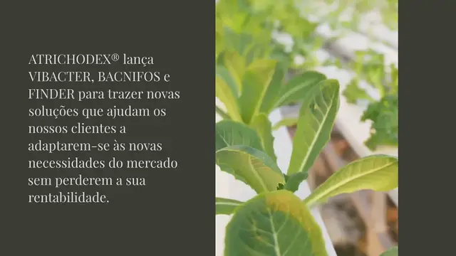 Video thumbnail for NOVOS REGISTOS DE BIOFERTILIZANTES
