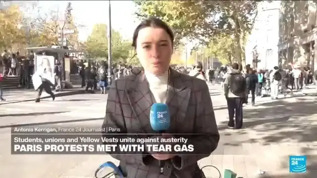 Video thumbnail for France: "We've seen extremely high tensions between protesters and law enforcement"