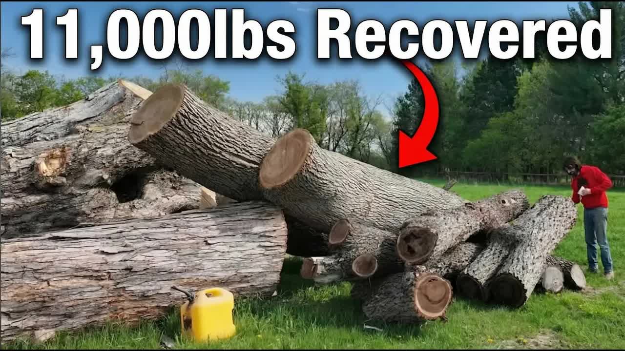 Video thumbnail for matthew cremona: saving my neighbor's walnut trees: from downed logs to furniture