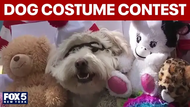 Video thumbnail for Annual great PUPkin dog costume contest