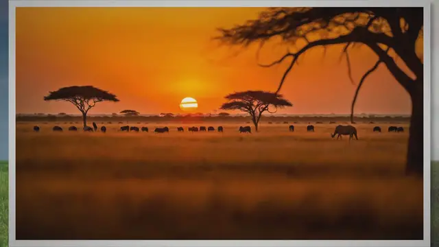 Video thumbnail for Africa: A Paradise of Beauty, Diversity, Culture, and Wildlife