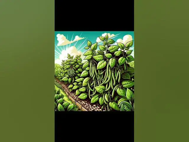 Video thumbnail for 5 things to grow in May  #may #growyourown #allotment #homegrown