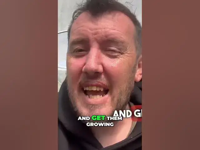 Video thumbnail for Planting runner beans and spring onions in June #runnerbeans #springonion #juneplanting