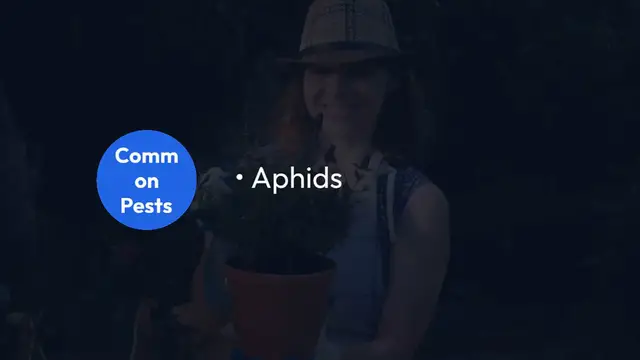 Video thumbnail for Pest Control for Lavender Plants