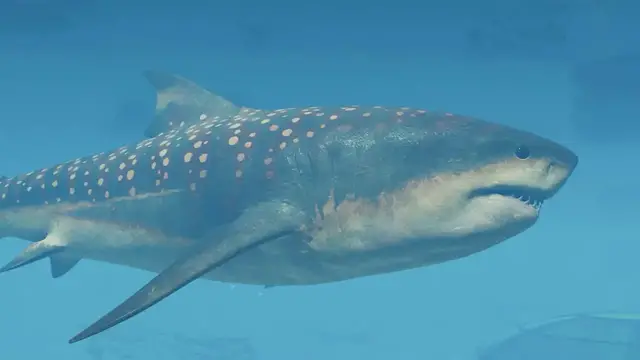 'Video thumbnail for Jurassic World Evolution 3 - Official Megalodon Dinosaur Showcase Trailer'