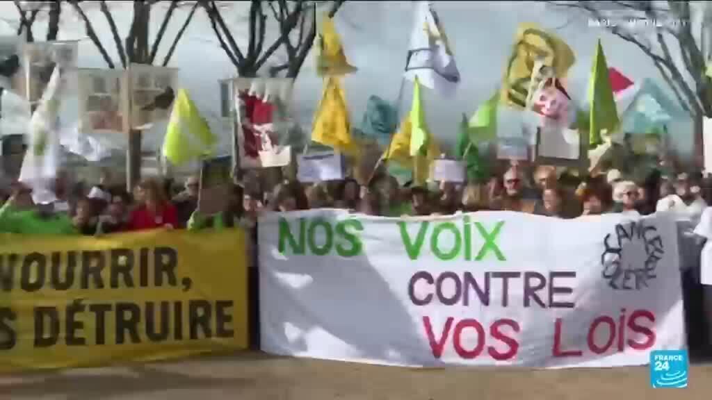 Video thumbnail for France's Duplomb law debate reignites over controversial pesticides